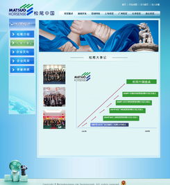 廣州與深圳網站建設成功案例 選擇18年老牌萬戶網絡，打造專業精品網站